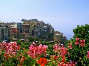 fleurs-cinque-terre-300x225